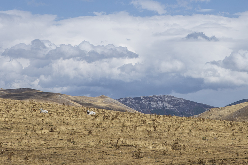 Campo Imperatore