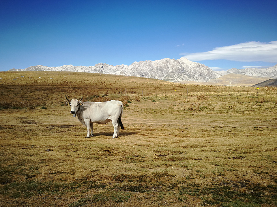 Campo Imperatore