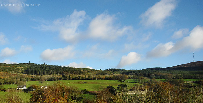 belfast landscape