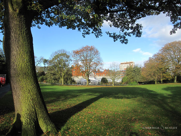 orto botanico belfast