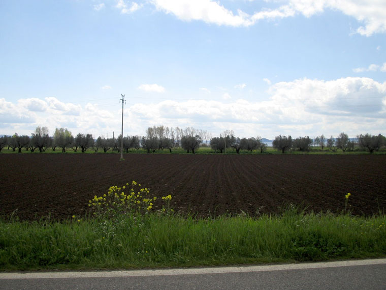 campo sul lago