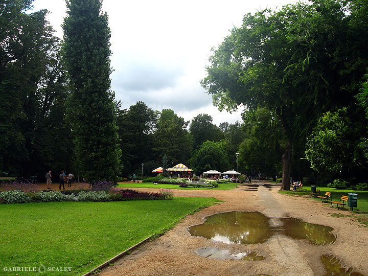 The Park