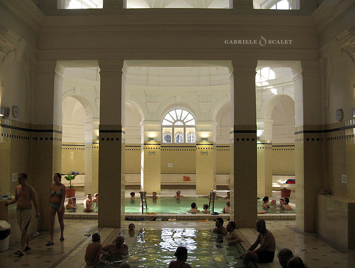 terme ingresso