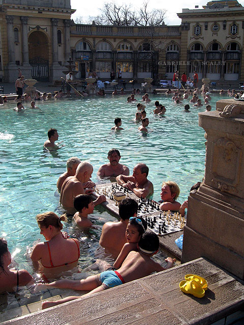 terme scacchi