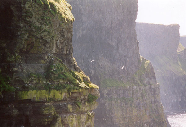 Cliff