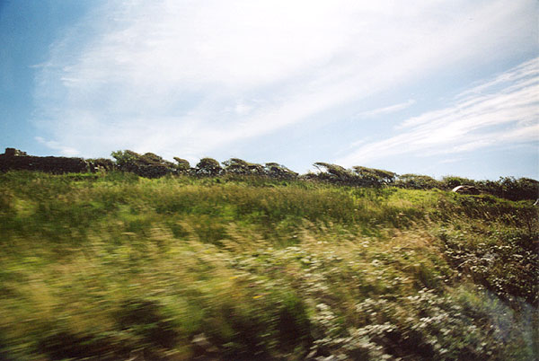 irish wind