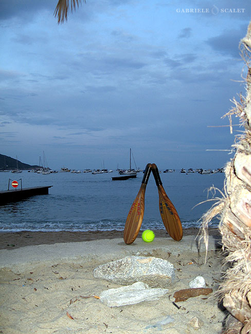 marina di campo