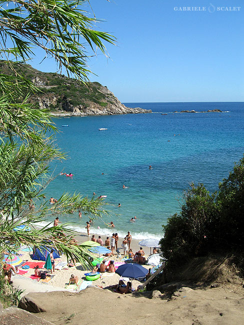 scoglio cavoli