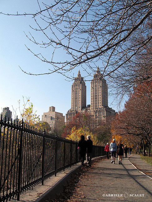 central park