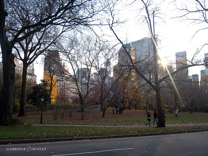 central park