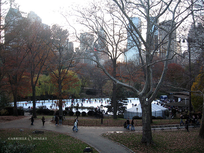 iced lake central park