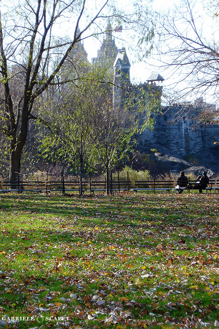 panchina central park