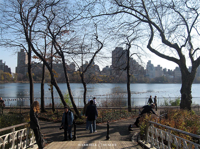 central park view