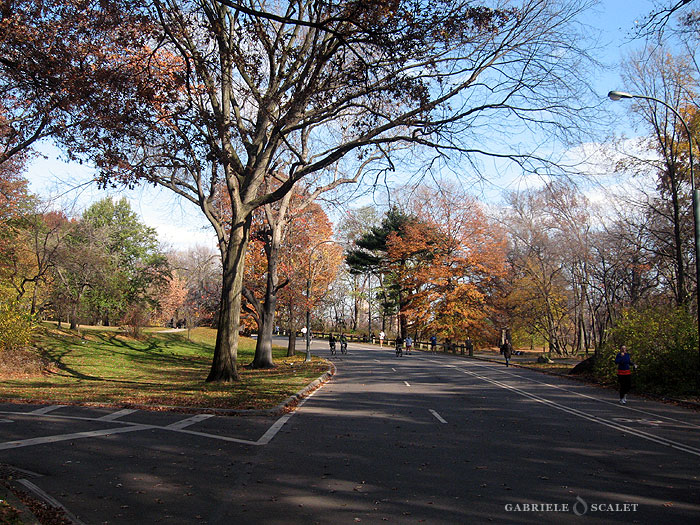 central park