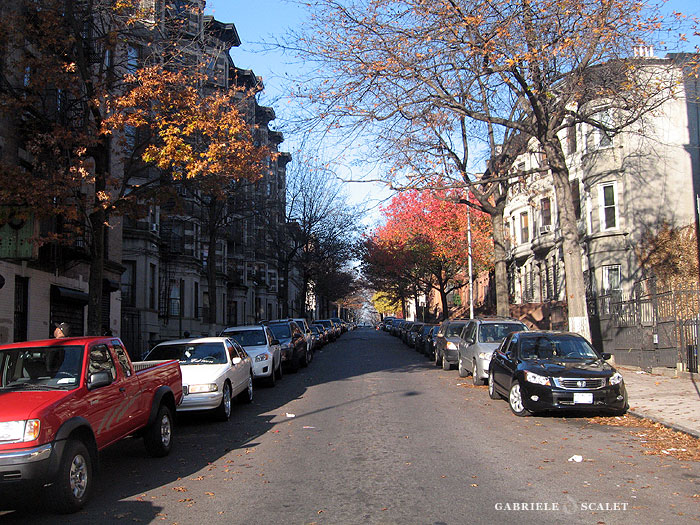 New York Harlem
