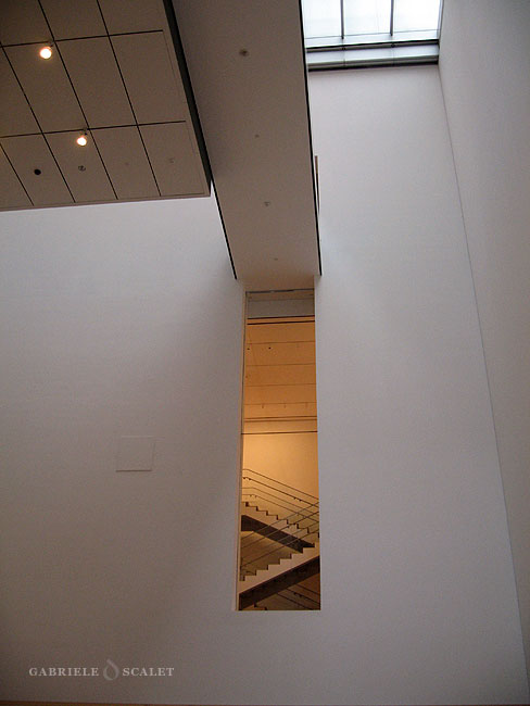 MOMA