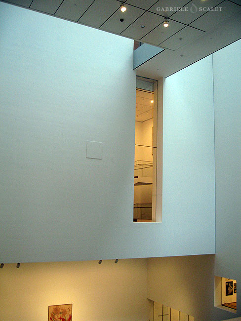 MOMA