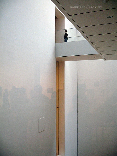 MOMA