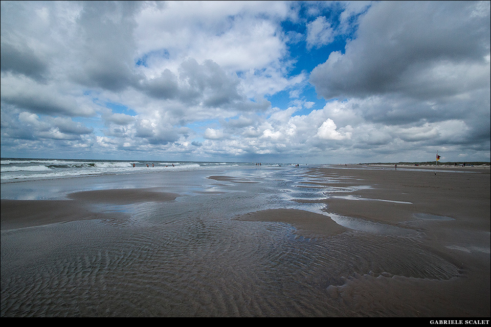 Mare Olandese