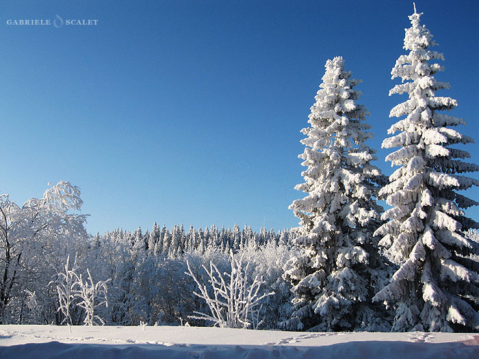 panorama innevato