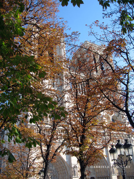Cattedrale di Notre-Dame