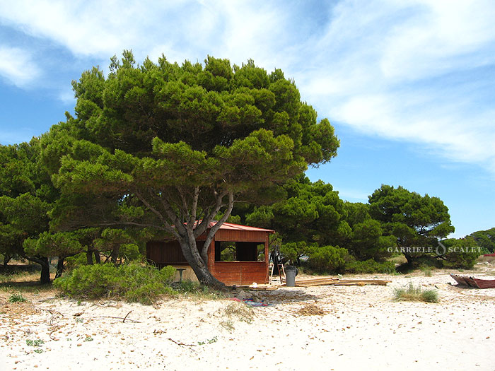 porto pino beach