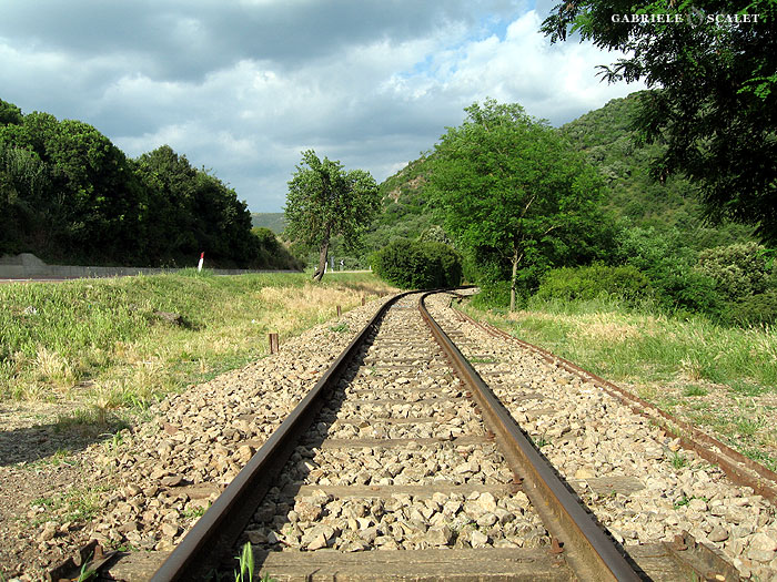 rotaie treno sardegna