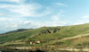 panorama toscano