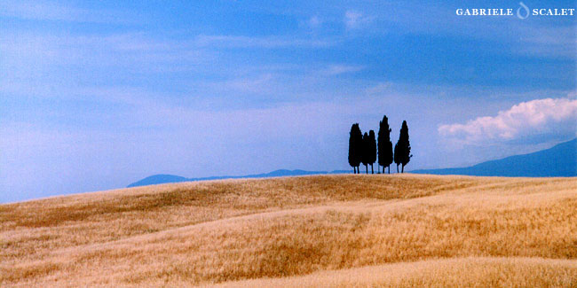 Tuscany farm holidays