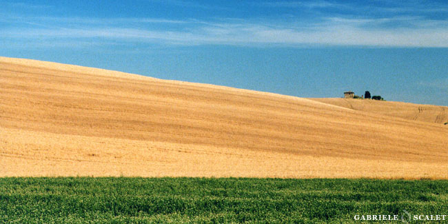 Tuscany farm holidays