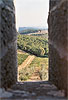tuscany panorama scorcio